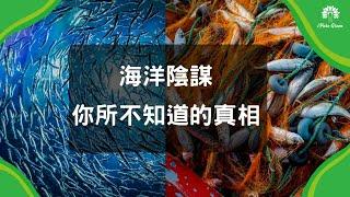 海洋裡你所不知道的真相｜《海洋陰謀》電影導讀｜綠色公益