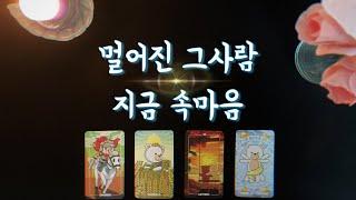 【타로연애운】 멀어진 그사람 속마음연락운,잠수,이별,재회타로￼reunion tarot