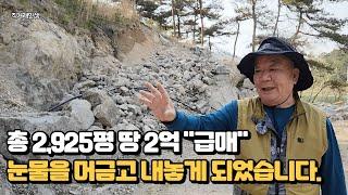 총 2,952평 땅 2억으로 "급매" 갤러리를 위해 건축을 준비했지만 자금난으로 어쩔수 없이 눈물을 머금고 급하게 내놓습니다.