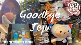 Goodbye JEJU (제주도) !- Shopping | Tangerine Picking | Black Pork BBQ | Martro Supermarket