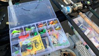 Prepping for black fish season - Jigs vs Rigs