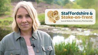 Help us to protect nature in Staffordshire and Stoke-on-Trent!