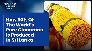 How 90% Of The World’s Pure Cinnamon Is Produced In Sri Lanka