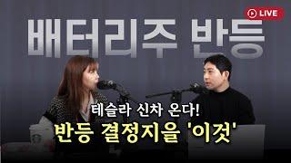 테슬라 뉴 모델Y 주니퍼 온다…2차전지주 올해는 반등 가능? [330온에어]