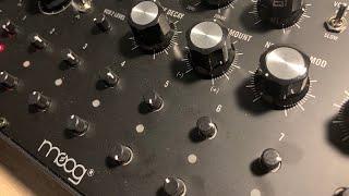 Daily Techno Production: Heavy Lows with Moog DFAM