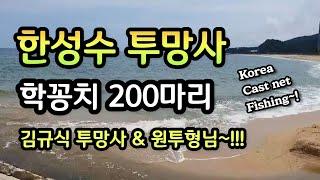 #강릉고수한성수투망사학꽁치200마리#바다투망달인최경철원투형님#안양최고수투망사김규식형님실황 거진자산천바다투망상황중계,메탈배스바다투망낚시인,pesca,cast nets fishing