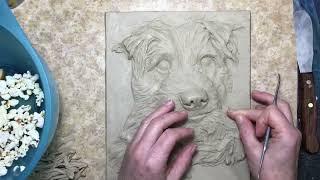 Sculpting a Norfolk Terrier | Sondra Alexander Art Pet Portraits
