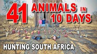 41 Animals in 10 Days - South Africa | "Safari Abroad" | Sandstone Safaris