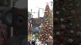 Magic of Science: Holiday Greetings from Science Kids AR!  #sciencefun  #learningscience