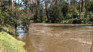 Exploring Warrandyte