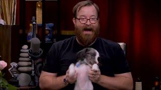 Rooster Teeth Podcast #321 - Highlights