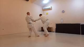 Обычное Айкибудо: базовые броски Ordinary Aikibudo: nage waza