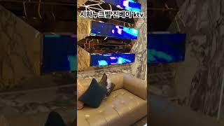 캄보디아 진베이 카지노ktv#여행#골프#뮤직#마카오#필리핀