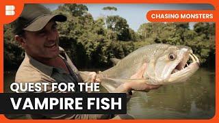 Vampire Fish Hunt - Chasing Monsters - S02 EP09 - Nature & Adventure Documentary