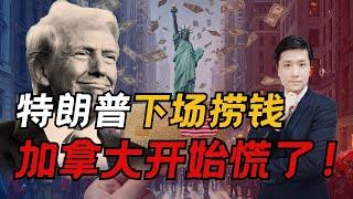 特朗普下场捞钱，加拿大开始慌了！！【500万美元金卡，加拿大移民政策即将跟进！】