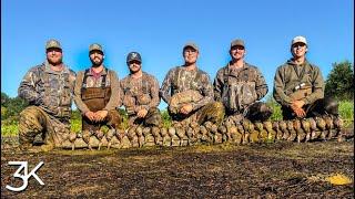 Mississippi Blue Wings |  6 Man Limit in a Mississippi Mud Hole