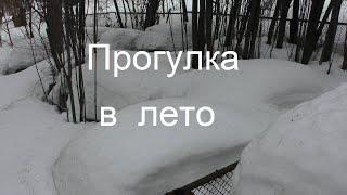 Зима. Прогулка к пчелам в лето