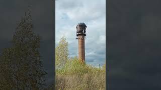 Реальность жизни на селе в Сибири 