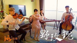 【Wild Rose】Violin, Cello, Flute & Guzheng｜Movie "Cape No. 7" Music_Cape No.7｜JOY Music TV