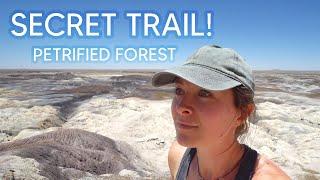 This SECRET TRAIL Blew our MINDS! | Petrified Forest National Park