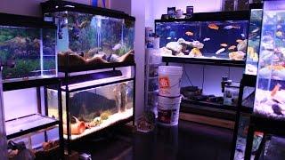 FISH ROOM TOUR