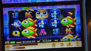 Fat Cat Fat Fortuntes - Where are all the fishes? Pokies Slots Casino 2023