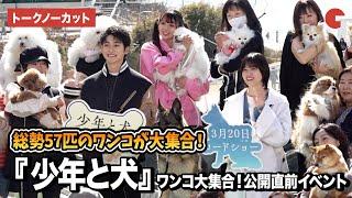 【トークノーカット】高橋文哉、西野七瀬が総勢57匹のワンコにホッコリ!?『少年と犬』ワンコ大集合！ 公開直前イベント