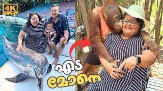 Meeting the World Famous Orangutan & Dolphin at Bangkok Safari World & Marine Park