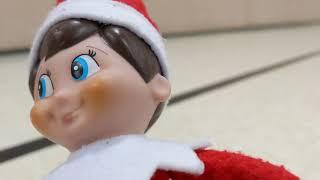 Elfie the Wesmere Elementary School elf returns