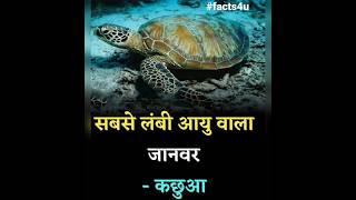 #facts #fact4u #dailyfacts #allfacts #animals