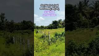 9 gunte sale in Harohalli, near bus stand, Charan 7338474634