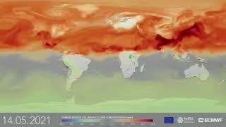 Global carbon emission by fossil fuel reached a record high in 2024