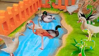 School Project - Conservation of Birds Model