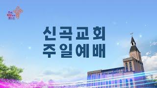 2024.7.28.(주일) 신곡교회 주일 2부예배 "하나님 나라의 영적 국가대표" (욥기 1:6-12)