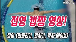 [공짜로 수영 배우기 64탄] 접영의 모든것 정리 (교과서)