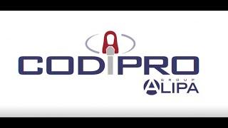 Codipro Gradup Specialist in Swivel Lifting Rings