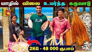 உலகிலே இது தானா சுவையான கருவாடு??  | Point Pedro Karuvadu | Jaffna Thanush