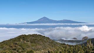 Alto de Garajonay, La Gomera. 4k Sunny Walk