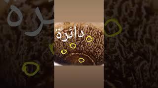 تعلم قراءة الفنجان او تعلم تبصير بالفنجان يوجد بالفنجان رموز وكل رمز له معنى اذا شفت دائرة  بالفنجان