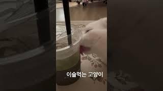 내음료수....~