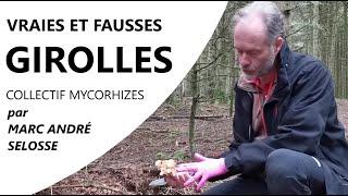 Épisode 3 : VRAIES ET FAUSSES GIROLLES - Marc André SELOSSE & le Collectif Mycorhizes