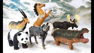 9 Incredible Wild Animals 3D Puzzle Toys - Panda, Zebra, Hippo, Moose, Horse, Giraffe, Mustang