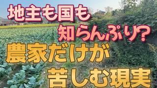 耕作放棄地で困ってるので役場に相談してみた。耕作放棄地はずっと周りの農作物に損害を与えつづけます。