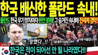 [해외감동사연] 한국 배신한 폴란드의 최후! 한국 무기보다 더 무서운 이것에 폴란드 벌벌 떠는 이유! 전세계 충격!