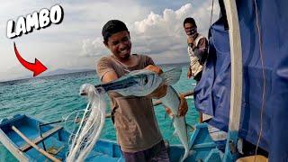 Dina kailangan ng KAWIL simpling paraan sa panghuhuli ng BALO or NEEDLE FISH