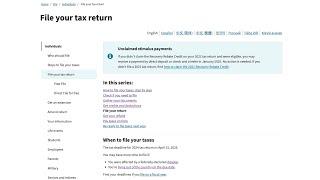 What does the IRS website say about filing your tax return?