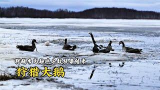 冰雪生活S8E6：俩位原住民獵人首次合作狩獵海狸、大鹅！# 紀錄片