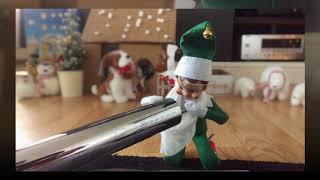 Elfia and Smerk - Christmas 2016 - Elf on the Shelf