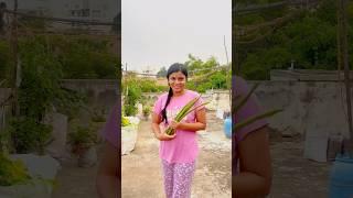 Unplanned evening vlog with Maamanar Maamiyar#shortsfeed #shorts #shortvideo #shortsvideo #short