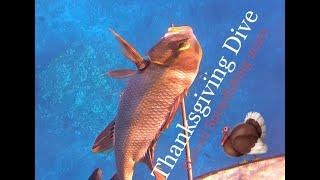 Thanksgiving Dive | Hawaii Spearfishing 2020